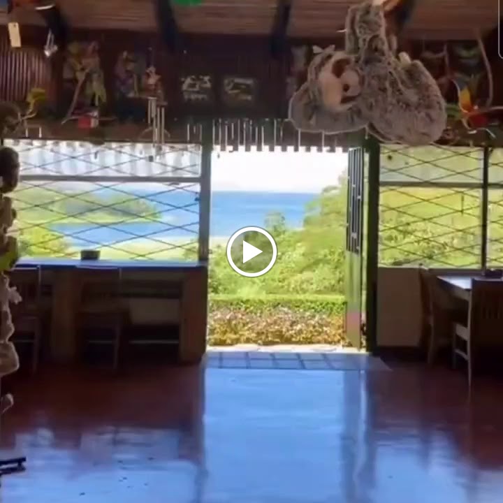 Selva Paraiso Coffeeshop & Souvenir